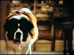 Beethoven's 2nd - Trailer