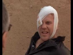 The Last Days of Frankie the Fly