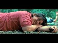 Paul and the Boys Wake Up And Look for Ruth