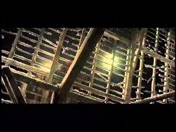 Official Movie Trailer