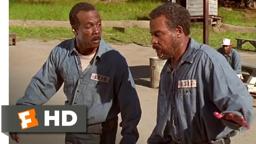 Life (1999) - Standing on Bottles Scene (7/10) | Movieclips