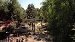 Charly Movie Trailer