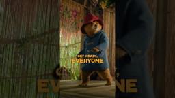 One week, one bear, one big adventure. In cinemas from next Friday!