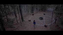 Below the Trees | Trailer