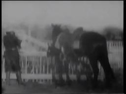 The Bandit King (1907)