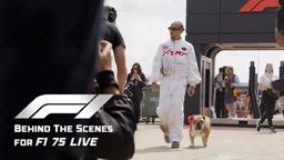 Behind the Scenes for 75 Live