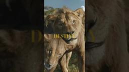 Be the First to Watch at Home Today. Buy It Now Only On Digital