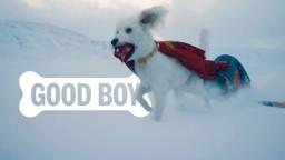 For Honor - Milk-Bone x SUPERMAN