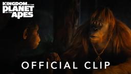 "Campfire" Official Clip