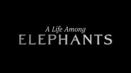 A Life Among Elephants - TRAIL 2024