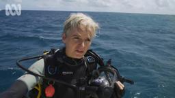 Can We Save The Reef?