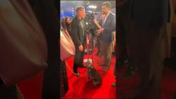 A VIP cutie patootie 🖤 Blue stole our hearts