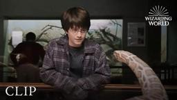 Harry and the Snake