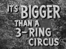 ▶ The White Gorilla 1945 trailer   YouTube 240p