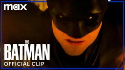 The Batman Flies