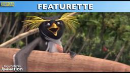 Surf's Up - Surf Cam Documentary