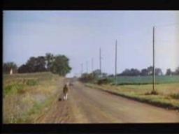 Four Corners of Nowhere Trailer