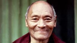 Kangyur Rinpoche Documentary - Official Film Trailer 2020