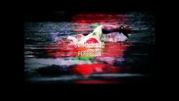 SWIMMING TO FERGUSON