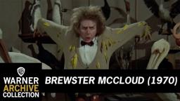 The Blue Footed Boobie