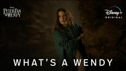 What’s A Wendy Clip