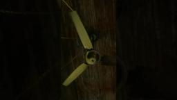 This one's for the fans. Dying to show you more.