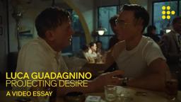 Video essay: “Luca Guadagnino: Projecting Desire”