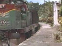 Bloodsport 3 (Trailer)