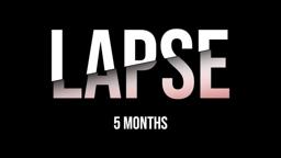 LAPSE - 5 Months