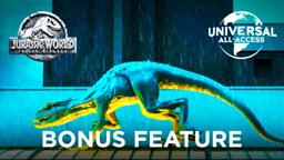 VFX Evolved Bonus Feature