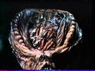 Spookies (1986) Uncut Trailer - 3min