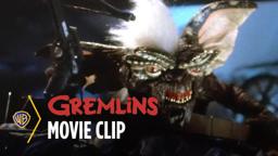 Billy Fights Gremlin