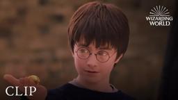 A Lesson In Quidditch