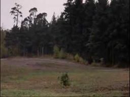 Now for something completely different