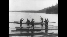 Logging in Maine (1906) AM&B