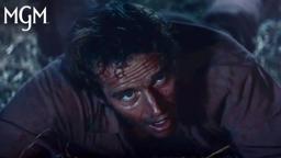 Late Night Fist Fight