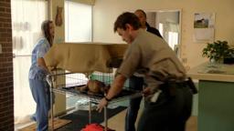 Susie's Hope Trailer