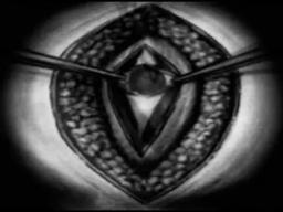 Philosophy Of A Knife (2008) Trailer