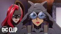 "Cats Away" Clip