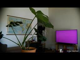 Window | Clip | Berlinale 2021