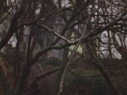 Love & Rage Movie Trailer