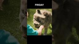 7 days, endless blocks!