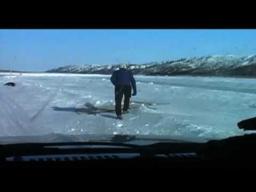 Being Caribou (Bullfrog Films clip)