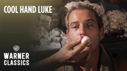 I Can Eat Fifty Eggs