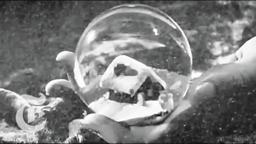 'Citizen Kane' | Critics' Picks | The New York Times