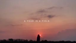 A Year in a Field - Sheffield DocFest 2023