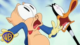 Clip - Ready for Inspection!