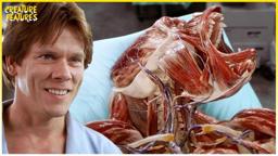 Turning The Gorilla Visible