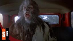 Werewolf in the Backseat