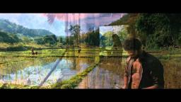 The Burma Conspiracy - out on DVD Jan 23rd